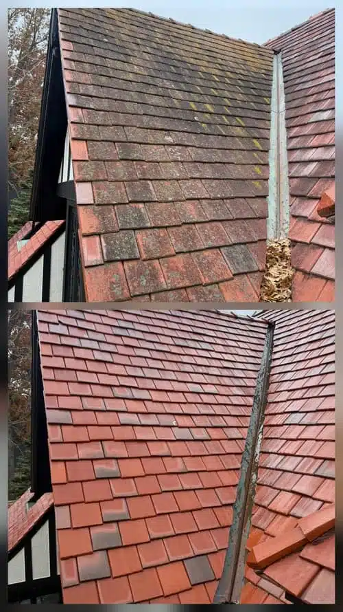 Res Roof Washing